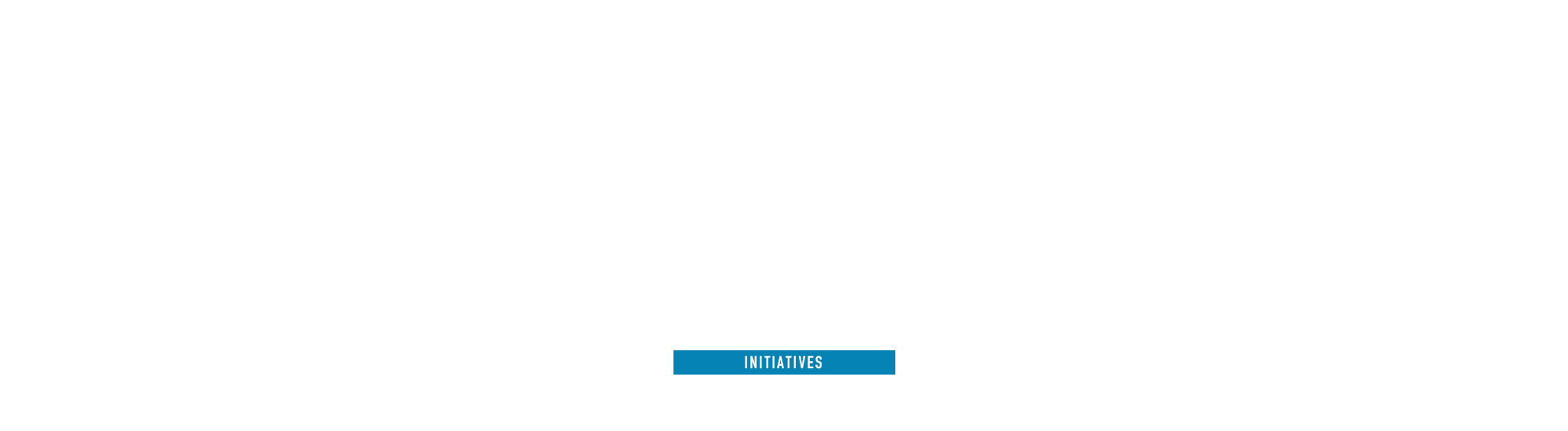 取り組み